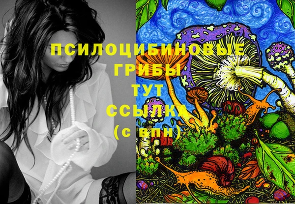 MDMA Premium VHQ Белокуриха