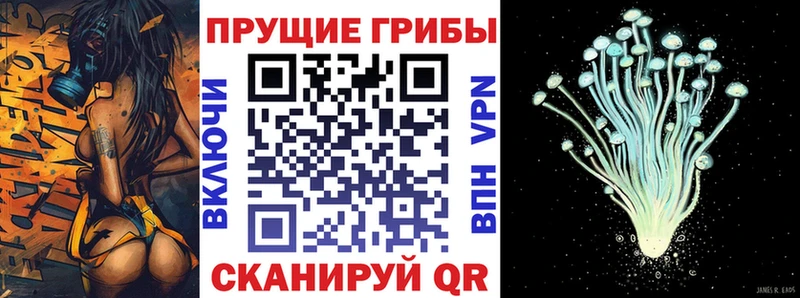 где можно купить наркотик  МЕГА как зайти  Псилоцибиновые грибы Cubensis  Белинский 